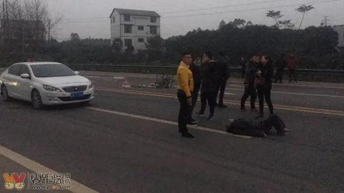 杞县柳庄车祸最新爆料消息,悲剧现场细节披露，调查深入进行中